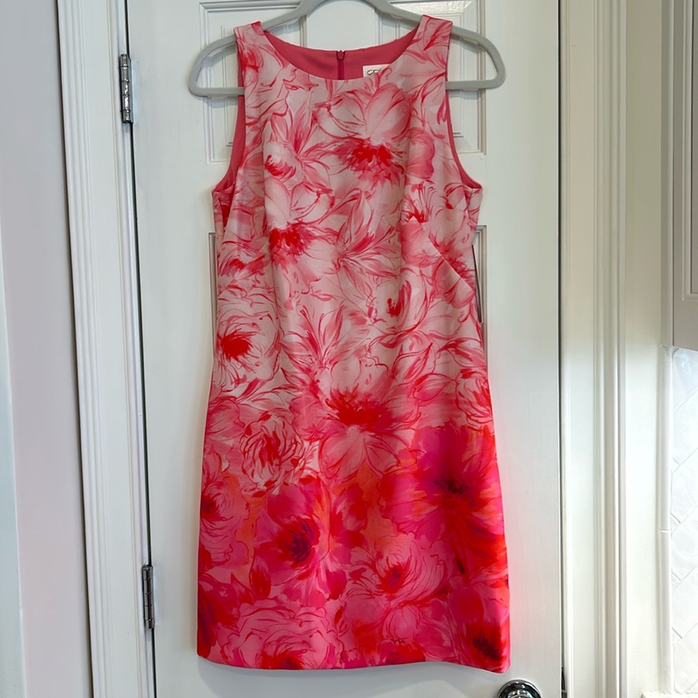 Eliza J Ink Floral Sleeveless Lined Dress Polyester and Spandex Sz.8 NWT